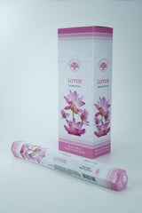 Green Tree Wierook lotus 20 Stuks