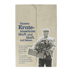 Sonnentor Kerst chai thee bio 18.00 Zakjes