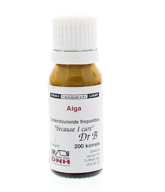 DNH Alga 200 Stuks
