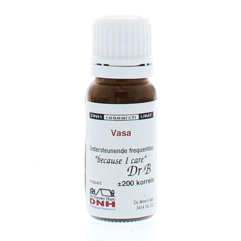 DNH Vasa 200.00 Stuks