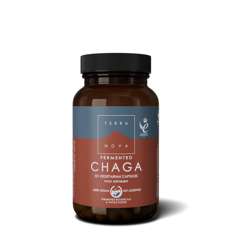 Terranova Fermented chaga 50.00 Vegetarische capsules