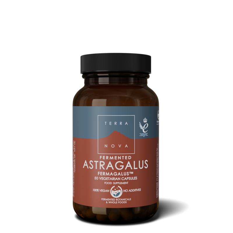 Terranova Fermented astragalus fermagalus 50.00 Vegetarische capsules