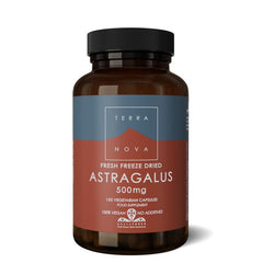 Terranova Astragalus 500mg 100.00 Vegetarische capsules