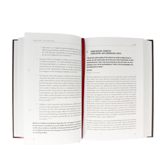 Succesboeken Dodelijke leugens 1 Boek