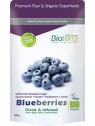 Blueberries dried infusion bio