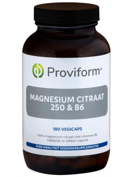 Proviform magnesium citraat 250 & b6