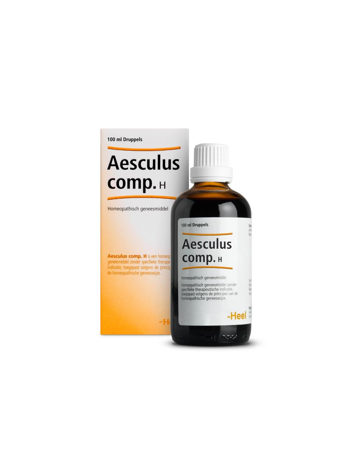 Aesculus compositum H