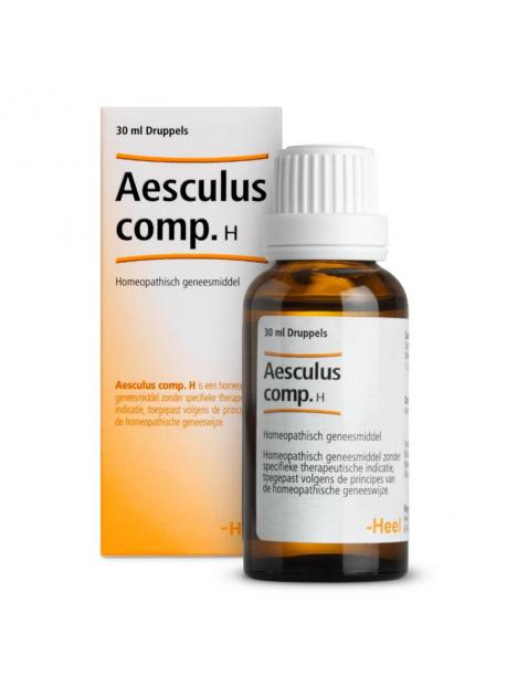 Aesculus compositum H