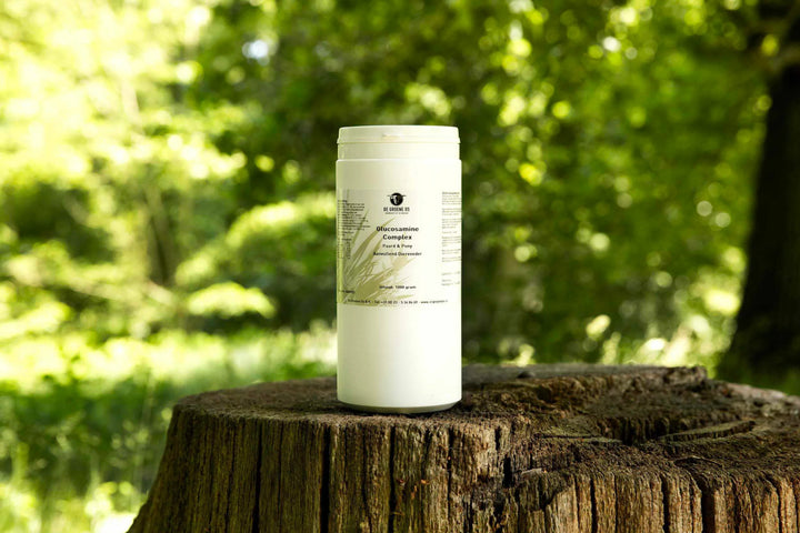 Supplements for Animals: Extra Support for Your Dog, Cat, or Horse