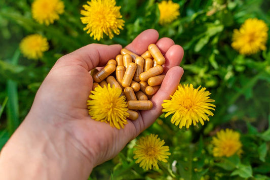 vegetarische supplementen