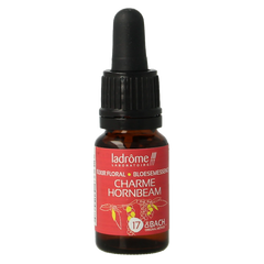 Ladrome Charme hornbeam bio 10 Milliliter
