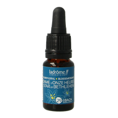 Ladrome Star of Bethlehem bio 10.00 Milliliter