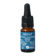 Ladrome Bloesemessence Elm bio 10.00 Milliliter