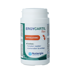 Nutergia Ergycartil flex 90.00 Capsules