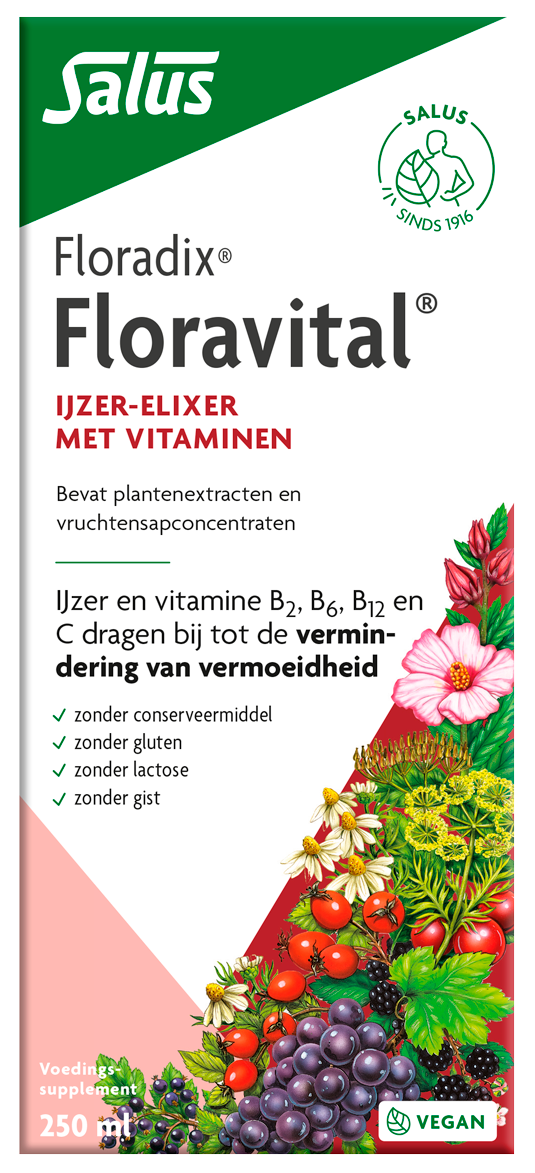 Salus Floradix floravital 250 Milliliter