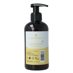 Baldini Handzeep citrus 250 Milliliter