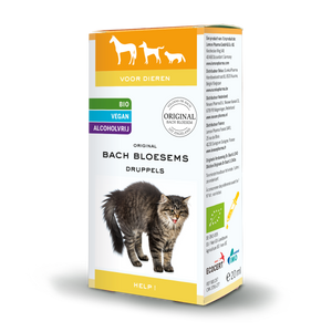 Bach Blüten Bachblüten Tierhilfe bio 20 Milliliter