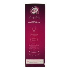 Gentle Day Intieme wasgel 250.00 Milliliter
