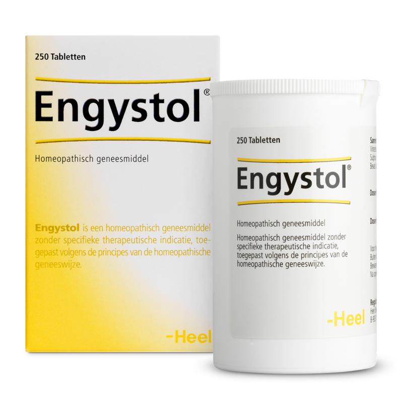 Heel Engystol 250.00 Tabletten