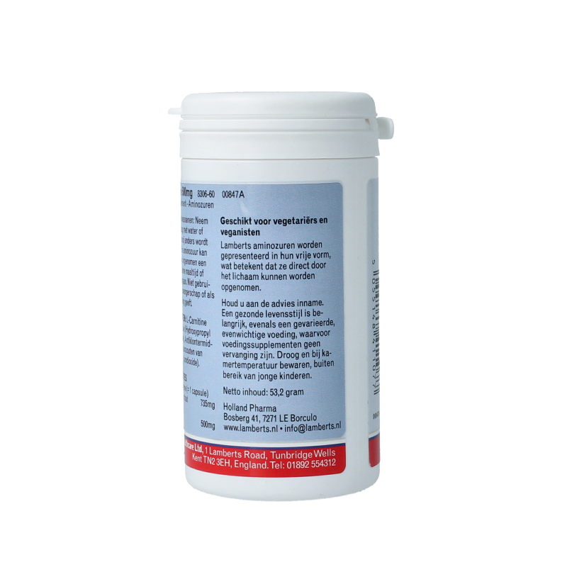 Lamberts L-Carnitine 500mg 60 Vegetarische capsules