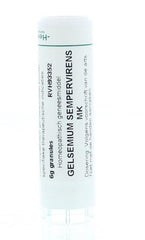 Homeoden Heel Gelsemium sempervirens MK 6.00 Gram