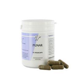 Holisan Punar 95 Vegetarische capsules