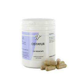 Holisan Ostayur 120 Vegetarische capsules