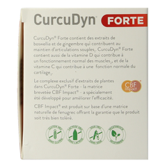 Metagenics Curcudyn forte 90.00 Capsules