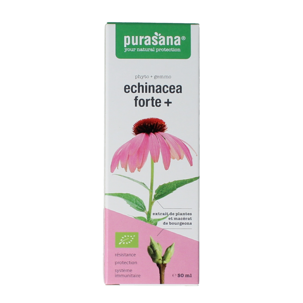 Purasana Echinacea forte + vegan bio  50.00 Milliliter