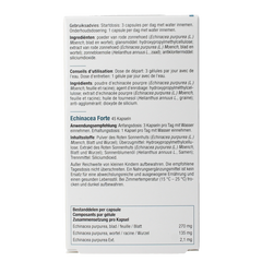 Fytostar Echinacea forte 1215 45 Capsules
