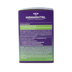 Mannavital Kyolic + co-enzym Q10 60.00 Capsules