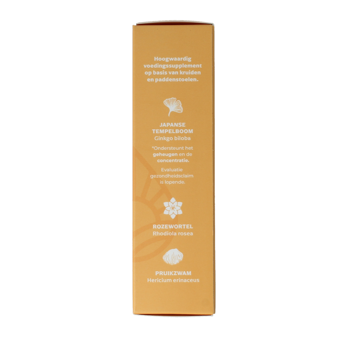 DRUP Kruiden paddenstoelextract focus 50.00 Milliliter