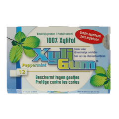 Xyligum Peppermint 12 Stuks
