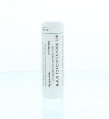 Homeoden Heel Rhus toxicodendron 30K 6.00 Gram