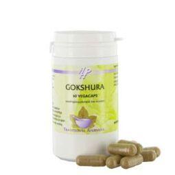 Holisan Gokshura 60.00 Vegetarische capsules