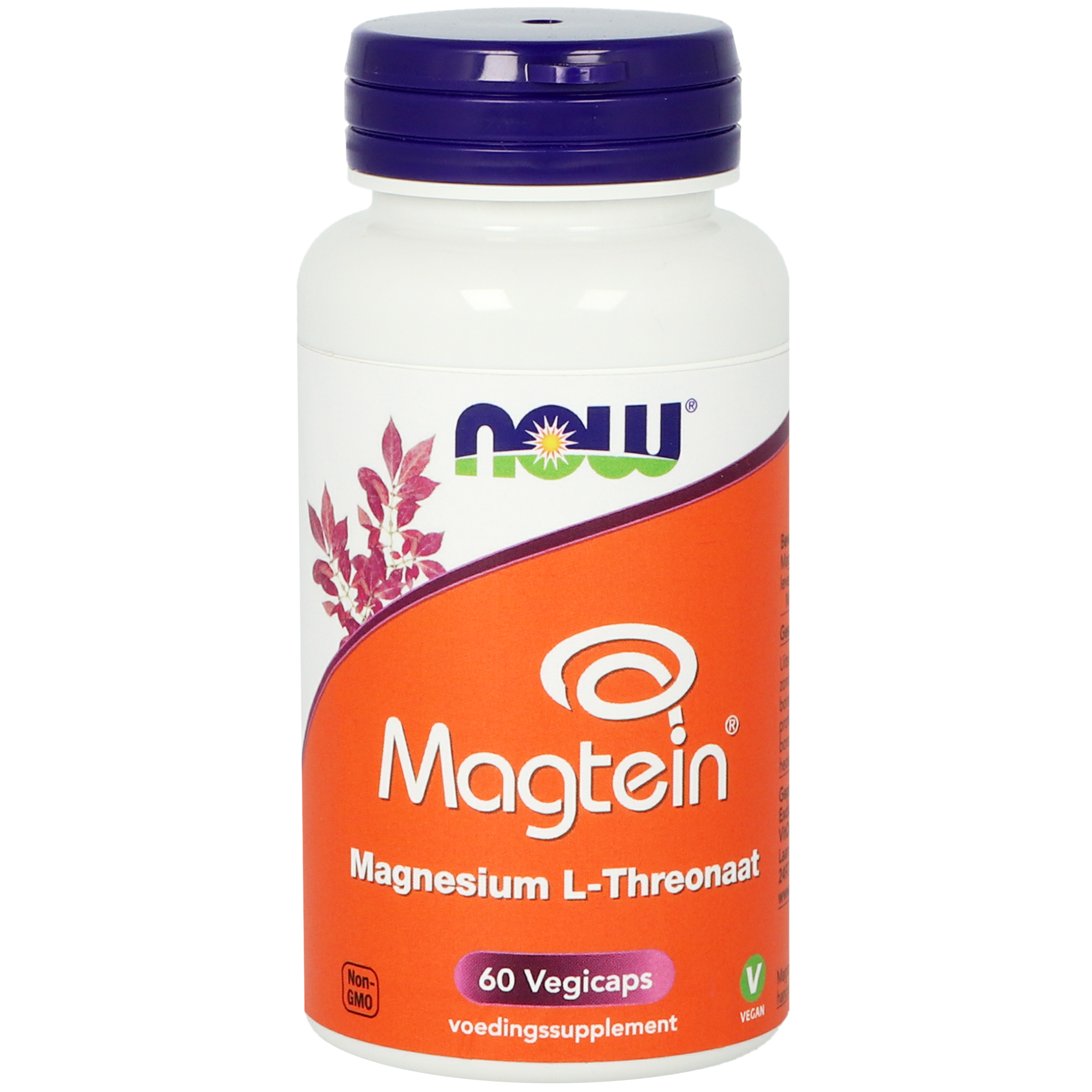 NOW Magtein Magnesium L-Threonaat 60.00 Vegetarische capsules