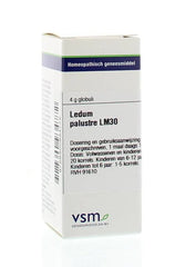 VSM Ledum palustre LM30 4 Gram