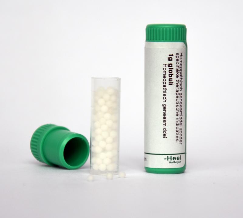 Homeoden Heel Rhus toxicodendron LM24 1.00 Gram