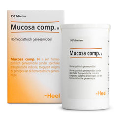 Heel Mucosa compositum H 250.00 Tabletten