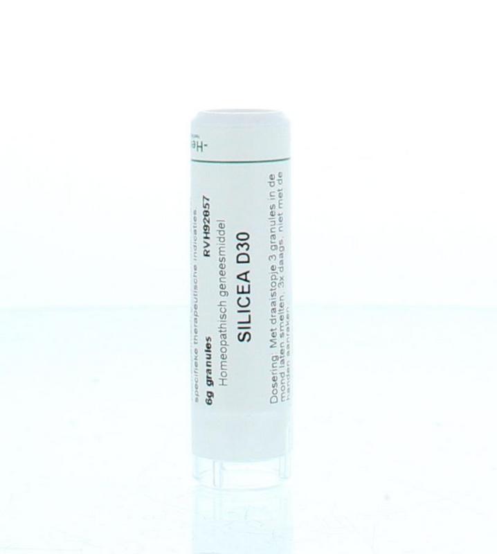 Homeoden Heel Silicea D30 6.00 Gram