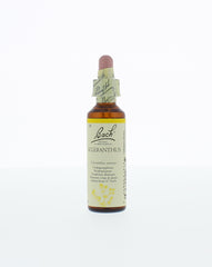 Bach Scleranthus/hardbloem 20 Milliliter