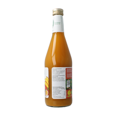 Biotta Mangomix bio 500 Milliliter