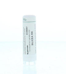 Homeoden Heel Silicea MK 6.00 Gram