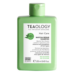Teaology Matcha shampoo repair 250 Milliliter
