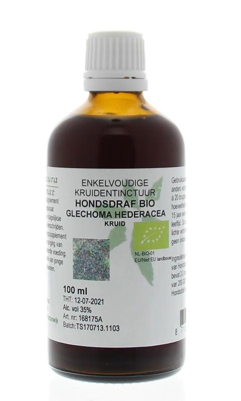 Cruydhof Glechoma hederacea / hondsdraf tinctuur bio 100 Milliliter
