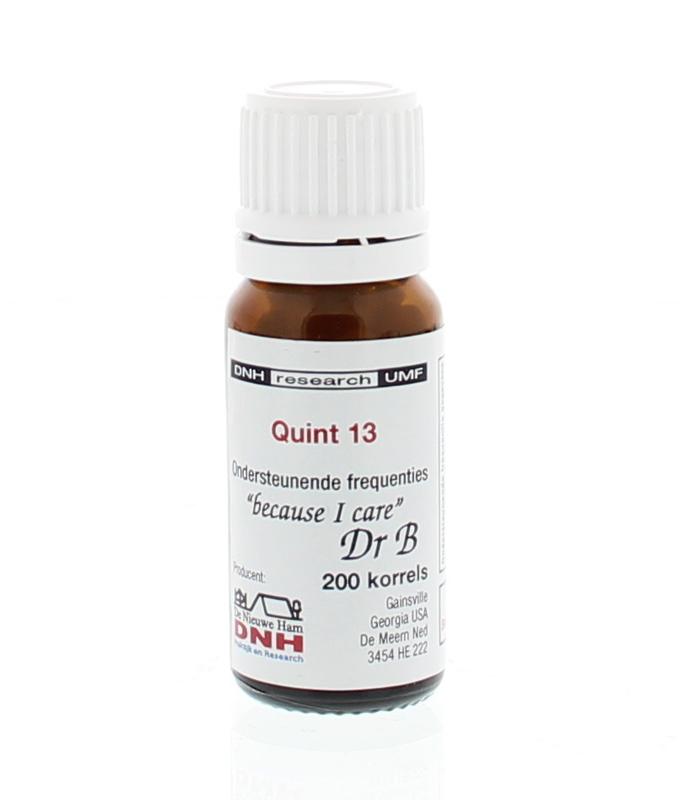 DNH Quint 13 BMYD 200 Stuks