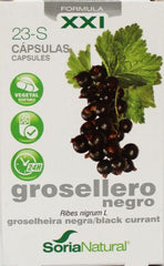 Soria Natural 23-S Ribes nigrum XXI 30 Capsules