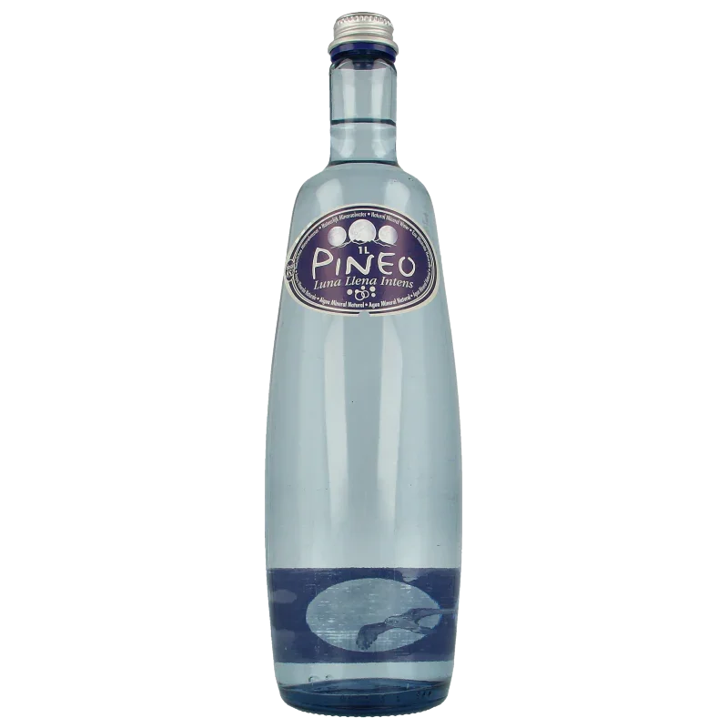 Pineo Luna llena intens mineraalwater met koolzuurgas 1 Liter