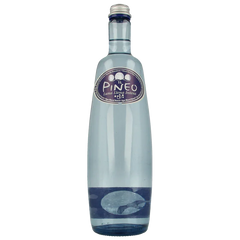 Pineo Luna llena intens mineraalwater met koolzuurgas 1 Liter