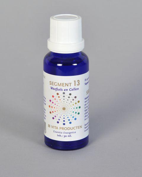 Vita Segment 13 weefsel en cellen 30.00 Milliliter